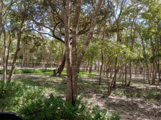 5-bedroom-house-for-sale-in-silverest