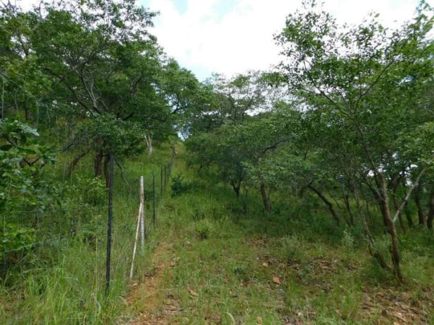 land-for-sale-in-shimabala-big-3