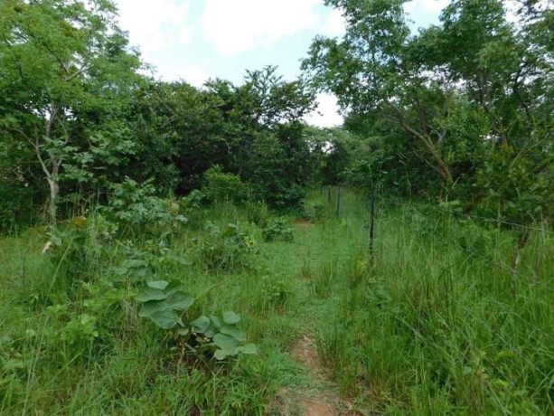 land-for-sale-in-shimabala-big-0