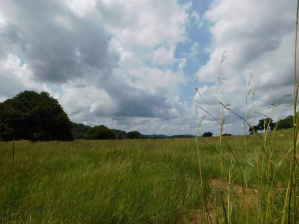 land-for-sale-in-shimabala-big-5