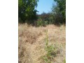 1-acre-plot-for-sale-in-ibex-hill-small-1