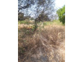 1-acre-plot-for-sale-in-ibex-hill-small-2