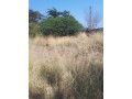 1-acre-plot-for-sale-in-ibex-hill-small-0