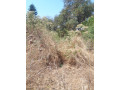 1-acre-plot-for-sale-in-ibex-hill-small-4
