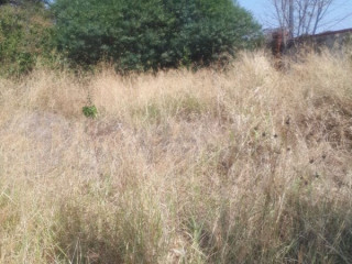 1-acre-plot-for-sale-in-ibex-hill