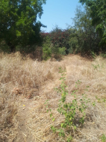 1-acre-plot-for-sale-in-ibex-hill-big-1
