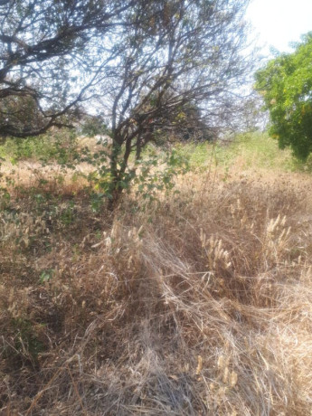 1-acre-plot-for-sale-in-ibex-hill-big-2