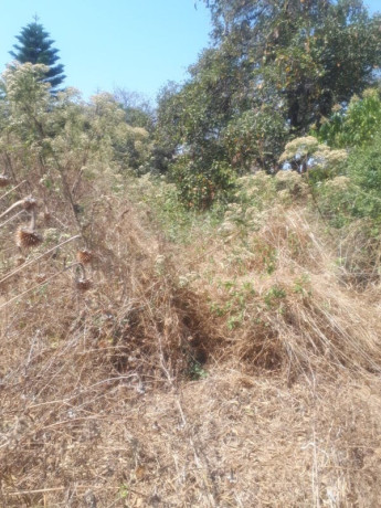 1-acre-plot-for-sale-in-ibex-hill-big-4