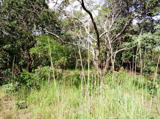 5-hectares-land-for-sale-in-kasisi-big-7