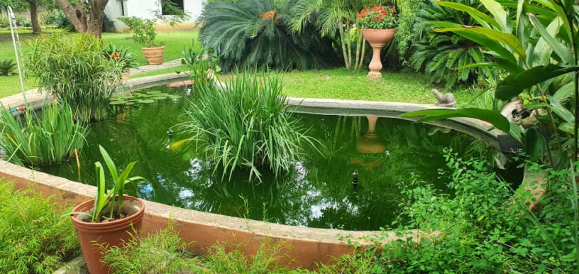 property-for-sale-in-makeni-big-2