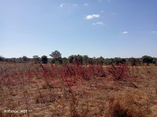 farm-for-sale-in-chongwe-big-6