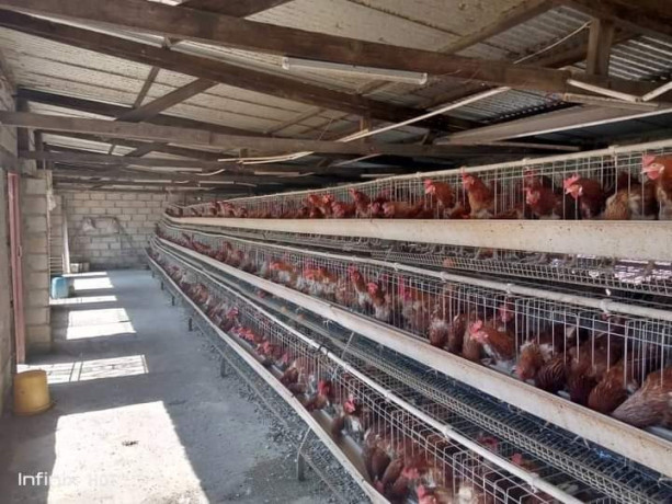 farm-for-sale-in-chongwe-big-9