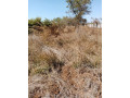 prime-plot-for-sale-in-chalala-small-0
