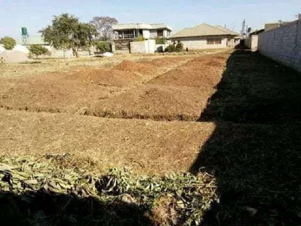 40m-by-20m-plot-for-sale-in-lilayi-big-1