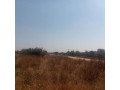 20m-by-30m-plot-for-sale-in-chalala-small-4