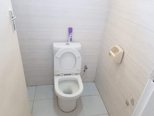 2-bedroom-apartment-for-rent-in-lilayi-estate-big-6