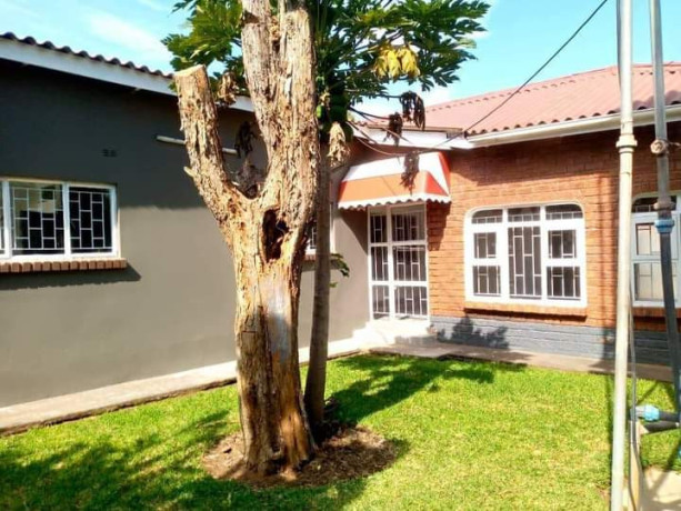 4-bedroom-family-house-and-1-bedroom-cottage-for-rent-in-makeni-bonaventure-big-0