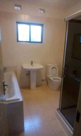 3-bedroom-apartment-for-rent-in-lilayi-big-6