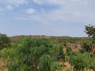 40m-by-30m-plot-for-sale-in-kafue-estates