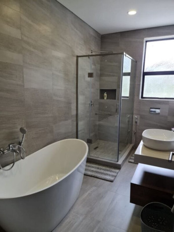 beautiful-fully-furnished-three-bedroom-house-in-prospect-hill-big-3