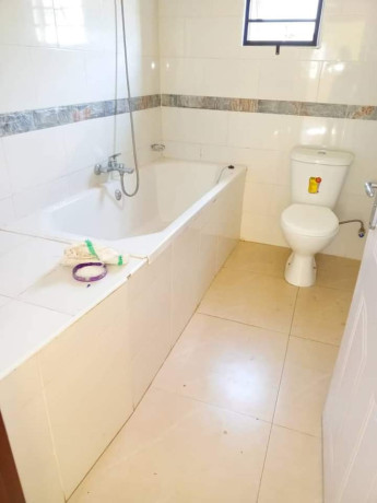 spacious-3-bedroom-stand-alone-house-for-rent-in-new-kasama-big-3