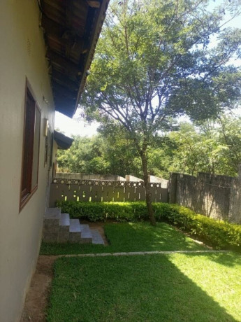 2-bedroom-flat-for-rent-in-roma-park-big-7