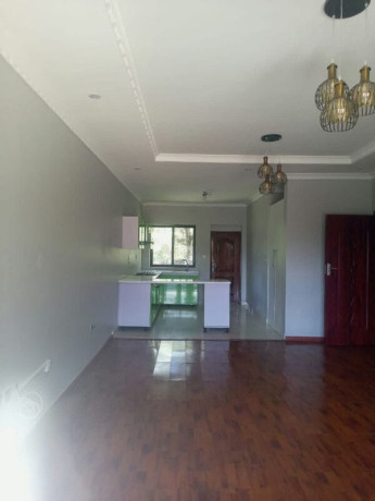 2-bedroom-flat-for-rent-in-roma-park-big-8