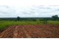 land-for-sale-along-chifwema-rd-small-2