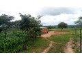 land-for-sale-along-chifwema-rd-small-1