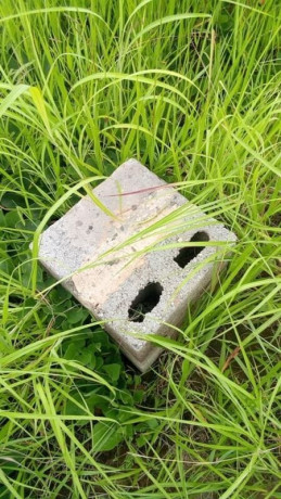 land-for-sale-along-chifwema-rd-big-3