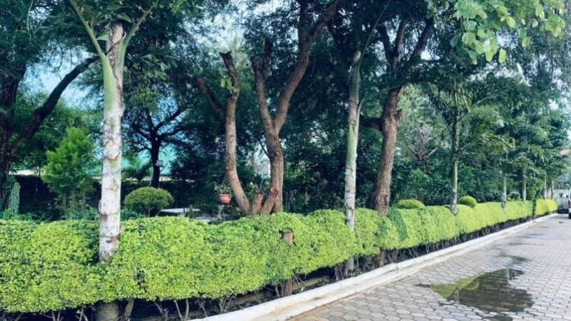 5-bedroom-house-for-rent-in-meanwood-ibex-big-9