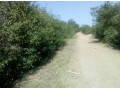 5600-sq-mt-of-plot-for-sale-in-matipula-area-chongwe-small-2