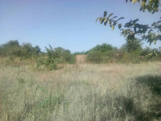 5600-sq-mt-of-plot-for-sale-in-matipula-area-chongwe