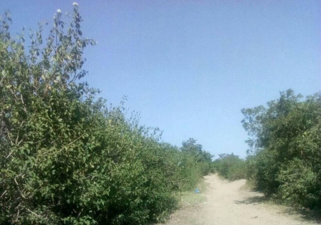 5600-sq-mt-of-plot-for-sale-in-matipula-area-chongwe-big-1