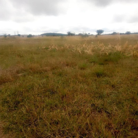 plot-for-sale-in-kafue-west-big-0