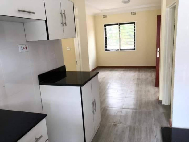 2-bedroom-flat-for-rent-in-new-kasama-big-0