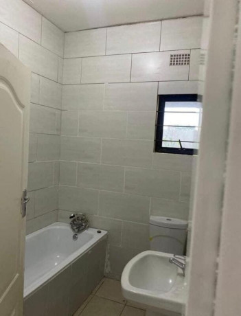 2-bedroomed-house-for-rent-in-handsworth-park-big-3