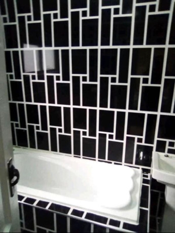 2-bedroomed-house-for-rent-in-handsworth-park-big-7