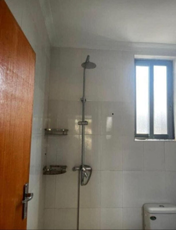 2-bedroomed-flat-for-rent-in-nyumba-yanga-big-5