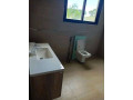 luxurious-eureka-park-apartments-in-liyali-small-5