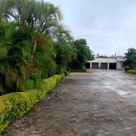 3-bedroom-house-for-rent-in-ibex-big-1