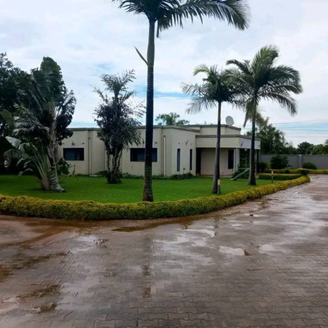 3-bedroom-house-for-rent-in-ibex-big-6