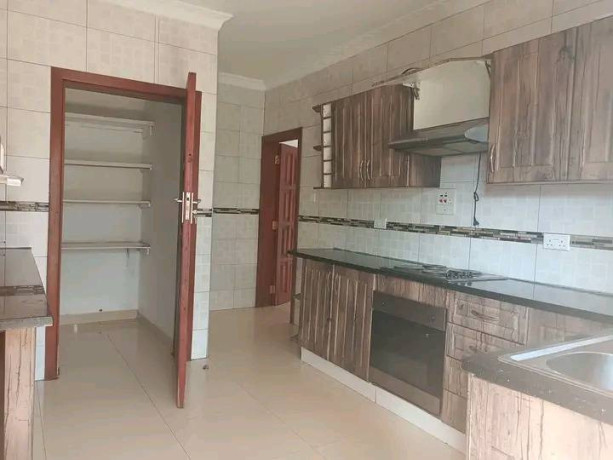 3-bedroom-house-for-rent-in-ibex-big-9