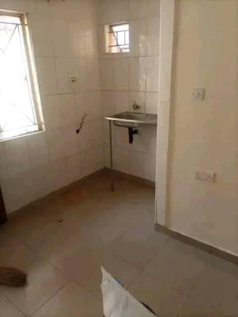 1-bedroom-flat-for-rent-in-kamwala-south-big-0