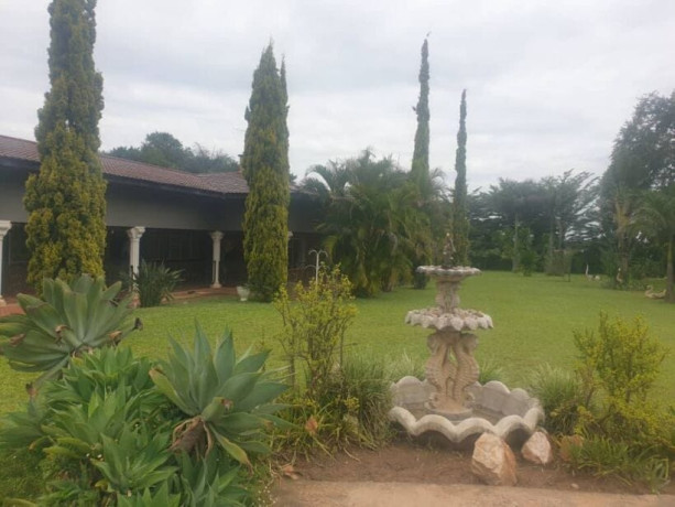 beautiful-farm-with-house-and-guest-houses-big-4