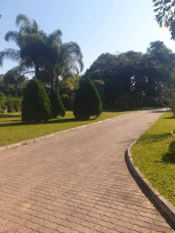 beautiful-farm-with-house-and-guest-houses-big-6