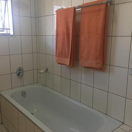 1-bedroom-furnished-apartment-for-rent-in-chudleigh-big-8