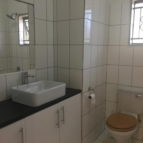 1-bedroom-furnished-apartment-for-rent-in-chudleigh-big-4