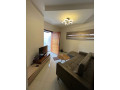 1-bedroom-fully-furnished-apartment-small-2