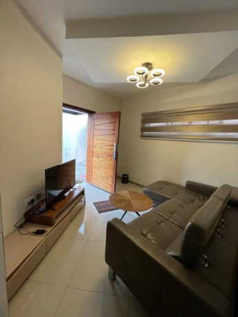 1-bedroom-fully-furnished-apartment-big-2